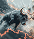 Bullport